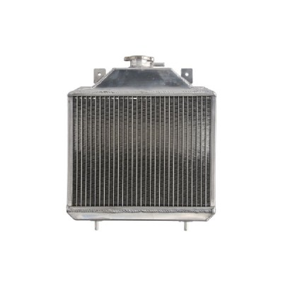 RADIATOR POLARIS XPLORER 350/400 1990 1996 foto