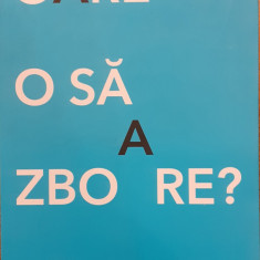 Oare o sa zboare? Cum sa-ti testezi urmatoarea idee de afaceri, in asa fel incat sa nu-ti pierzi timpul si banii