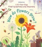 First Lift-the-Flap First Q&amp;A |, Usborne Publishing Ltd