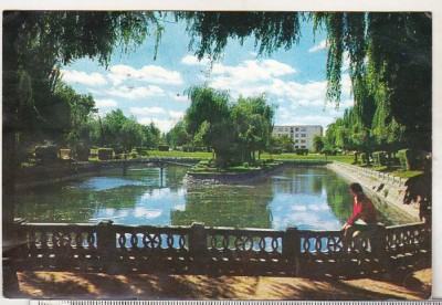 bnk cp Radauti - Vedere din parc - uzata foto