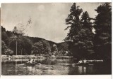 CPIB 22109 - CARTE POSTALA - BAILE MONEASA. LACUL