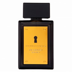 Antonio Banderas The Golden Secret eau de Toilette pentru barbati 50 ml foto