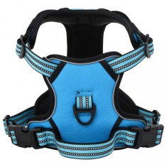 vidaXL Ham pentru c&acirc;ini cu plumb și guler, reglabil, albastru, L 4013391