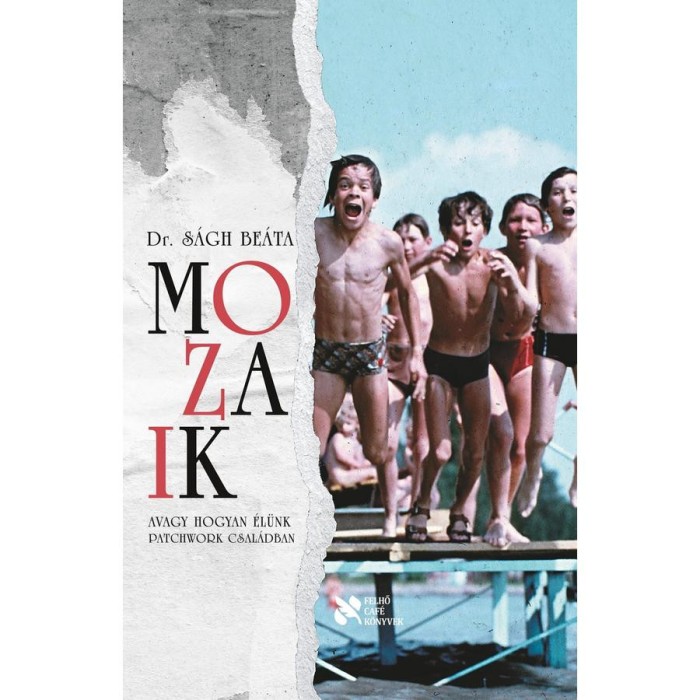Mozaik - Dr. S&aacute;gh Be&aacute;ta