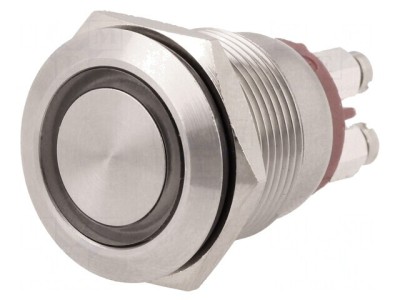 Comutator Anti-Vandalism SPST-NO 24VDC IP66 foto