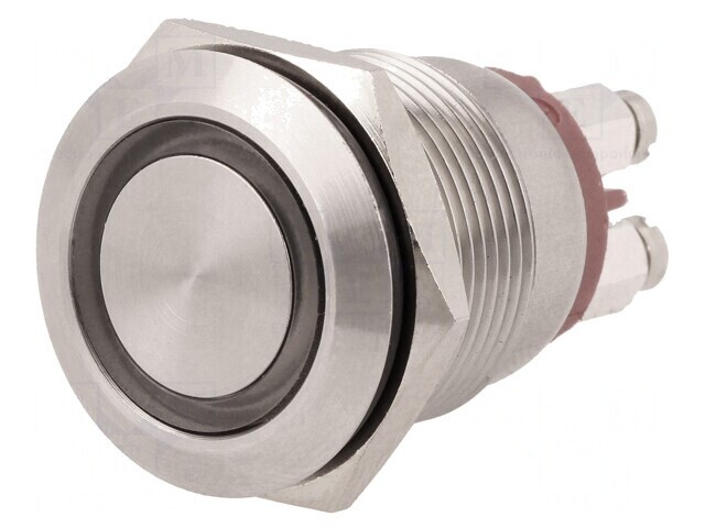 Comutator Anti-Vandalism SPST-NO 24VDC IP66