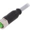 Cablu M8 3PIN drept 5m