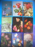 HOPCT LOT NR 354 FLORI -9 CARTI POSTALE-RPR-CIRCULATE