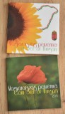 Set monetarie Ungaria 2013 (doar folder)