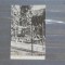 RPR - SOVATA - CLUBUL - 1953 - CIRCULATA.
