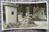 Fotografie originala mormant Traian Savulescu, biolog si botanist rom&acirc;n 1889-63, Alb-Negru