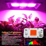 Led 50W AC 220V pentru plante spectru complet 380nm 840nm nu necesita lipire