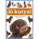 J&oacute; kutya! - 15 kedvenc kutyafajta bemutat&aacute;sa