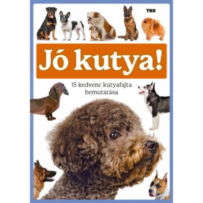 J&amp;oacute; kutya! - 15 kedvenc kutyafajta bemutat&amp;aacute;sa foto