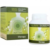 Mastiha Therapy Chios Mastiha 350 mg 90 capsule