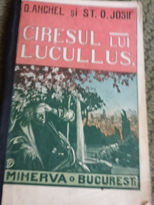 CIRESUL LUI LUCULLUS D. ANGHEL si ST . O . IOSIF foto