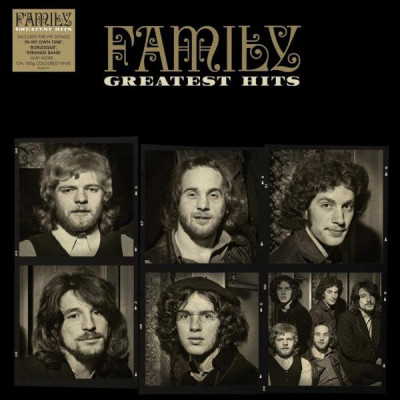 Family Greatest Hits LP (vinyl) foto