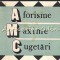 Aforisme, Maxime, Cugetari - Marin Voiculescu
