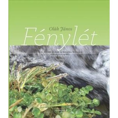 F&amp;eacute;nyl&amp;eacute;t - Ol&amp;aacute;h J&amp;aacute;nos foto