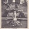 CP Avrig Freck Schlosspark ND(1917)