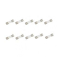 Set 10 sigurante temporizate 10A-T 5X20mm