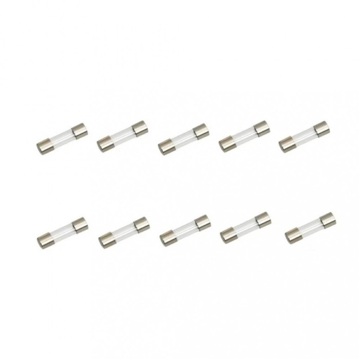 Set 10 sigurante temporizate 10A-T 5X20mm