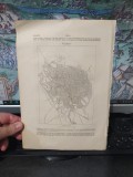 Bucarest, hartă și articol, extras, Paris, c. 1890, 135