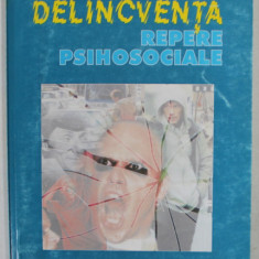 DELINCVENTA , REPERE PSIHOSOCIALE de MARIOARA PETCU , 1999 , PREZINTA SUBLINIERI *