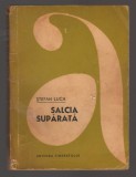 C10698 - SALCIA SUPARATA - STEFAN LUCA