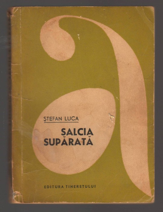 C10698 - SALCIA SUPARATA - STEFAN LUCA