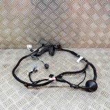 Cablaj Usa Stanga Spate Tesla Model 3 2020 OEM 3067965-00-A