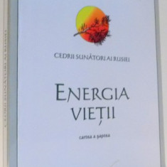 ENERGIA VIETII, CEDRII SUNATORI AI RUSIEI, CARTEA A VII-A de VLADIMIR N. MEGRE , 2010 , MINIMA UZURA