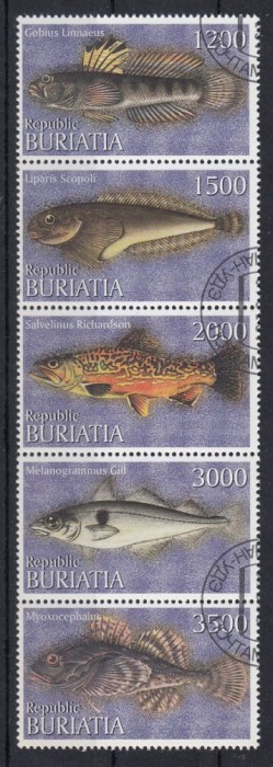 Rusia - Buriatia - - CTO