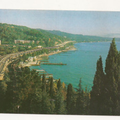 CP5-Carte Postala- RUSIA - Sochn, Coasta Marii Negre a Caucazului ,1983