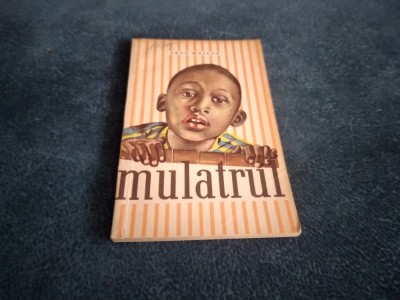 ENZO MAIZZA - MULATRUL foto