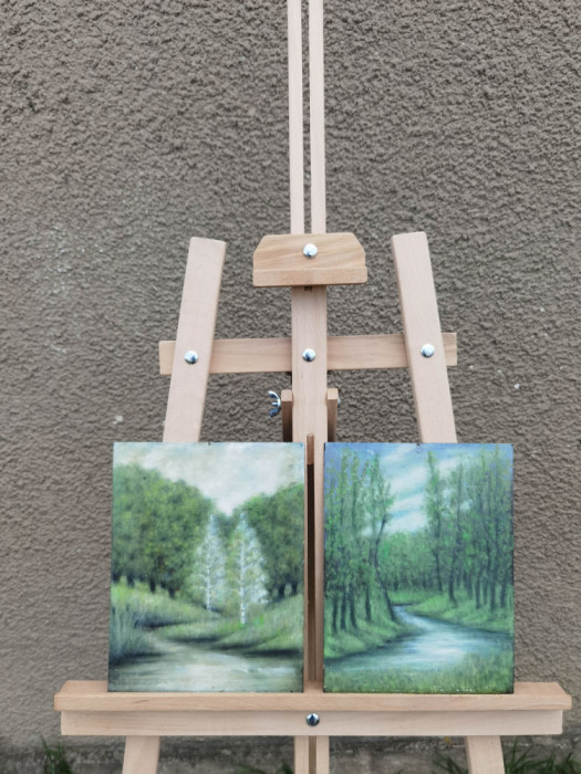 2 Tablouri pictate pe tabla: natura, pomi, padure.