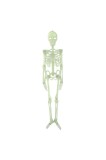 Schelet decorativ strălucitor pentru Halloween 90 cm