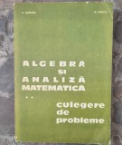 ALGEBRA SI ANALIZA MATEMATICA. CULEGERE DE PROBLEME VOL.2-NICOLAE DONCIU, DUMITRU FLONDOR