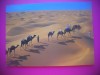 HOPCT 6524 DUNELE DE NISIP DOUZ -CARAVANA DE CAMILE - TUNISIA -STAMPILOGRAFIE-AFRICA-CIRCULATA, Necirculata, Printata