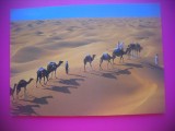 HOPCT 6524 DUNELE DE NISIP DOUZ -CARAVANA DE CAMILE - TUNISIA -STAMPILOGRAFIE-AFRICA-CIRCULATA, Necirculata, Printata