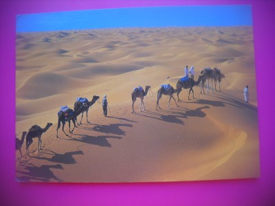 HOPCT 6524 DUNELE DE NISIP DOUZ -CARAVANA DE CAMILE - TUNISIA -STAMPILOGRAFIE-AFRICA-CIRCULATA foto