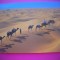 HOPCT 6524 DUNELE DE NISIP DOUZ -CARAVANA DE CAMILE - TUNISIA -STAMPILOGRAFIE-AFRICA-CIRCULATA