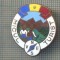 Y 773 INSIGNA -PIONIERI - ,,MICUL TURIST&quot; -PENTRU COLECTIONARI