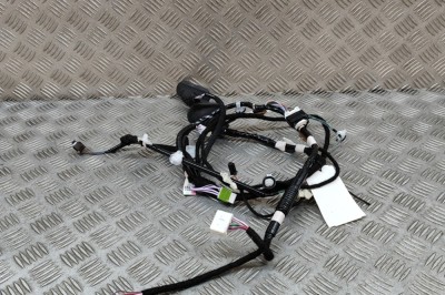Cablaj ușă dreapta spate LEXUS RX _LA1_, _LH1_ 2022 OEM: 82153-48330 27302691 foto