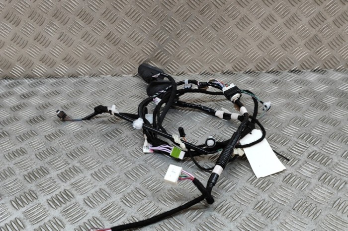 Cablaj ușă dreapta spate LEXUS RX _LA1_, _LH1_ 2022 OEM: 82153-48330 27302691