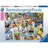 Cumpara ieftin Puzzle Jurnalul De Calatorie Al Animalelor, 1000 Piese, Ravensburger