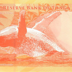 Tonga, 2 Paanga 2024, balena sarind din apa