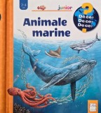 Carte Animale Marine 2-4 Ani - Carti Noi sau de Anticariat in Stare Buna