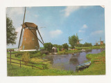 FA1 - Carte Postala - OLANDA - Wind-mills by kinderdijk, circulata, Necirculata, Fotografie