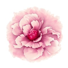 Sticker decorativ Bujor, Roz, 60 cm, 7759ST foto